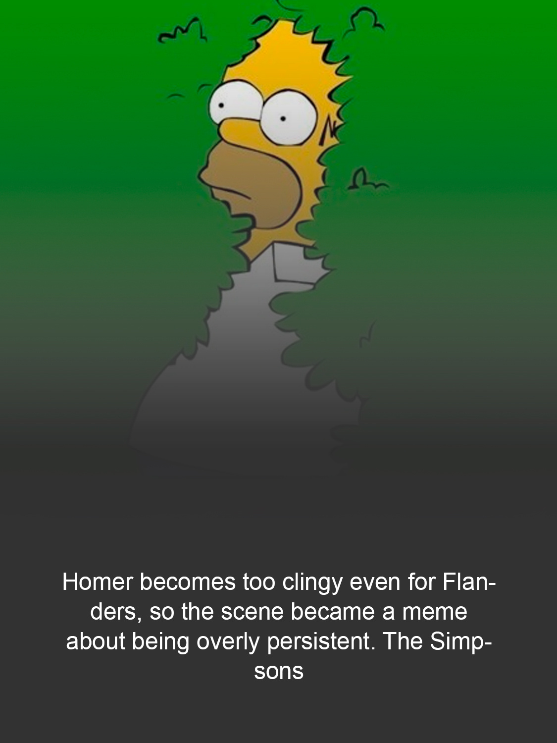 The Simpsons