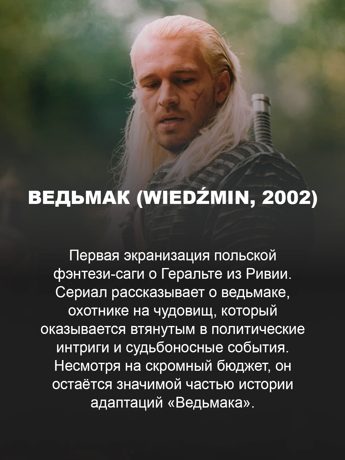 Ведьмак (Wiedźmin, 2002)