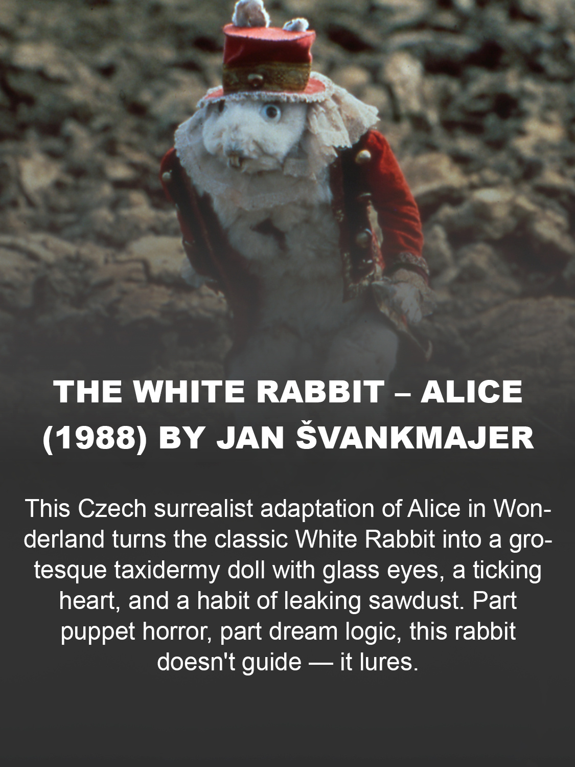 The White Rabbit – Alice (1988) by Jan Švankmajer