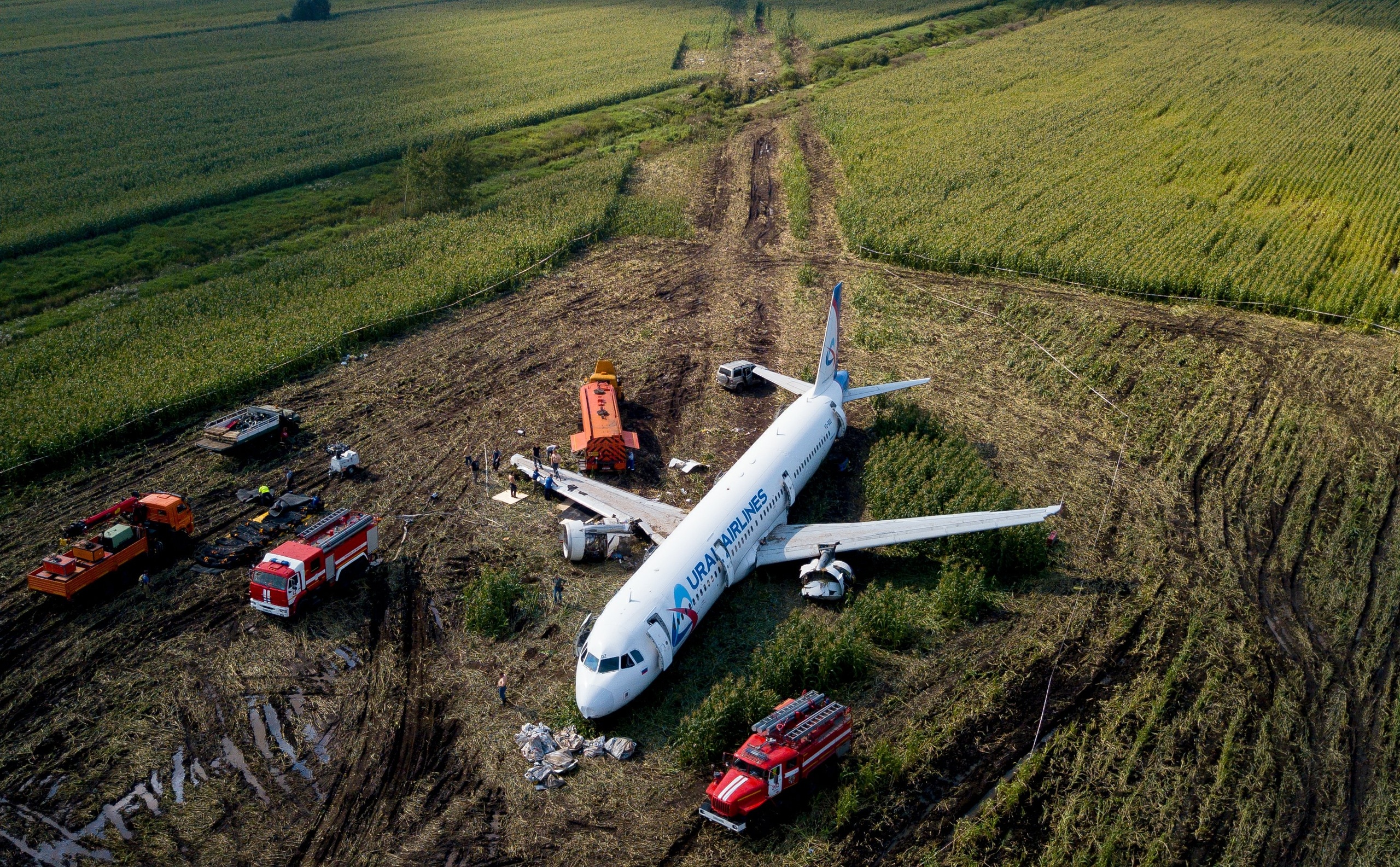 Пассажиры самолета в поле