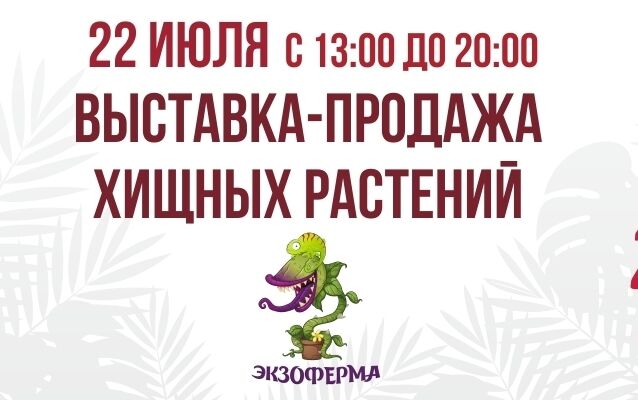 Курск выставка хищных растений. Хищные продажи. Синема 5 бузулук на сегодня