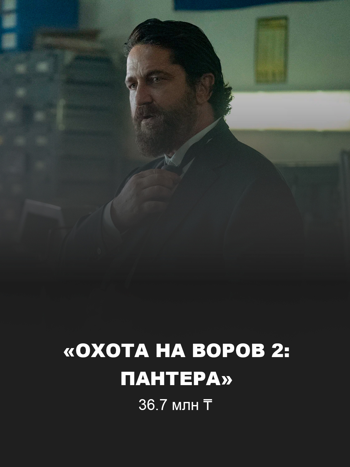 Кадр из фильма «Охота на воров 2: Пантера»